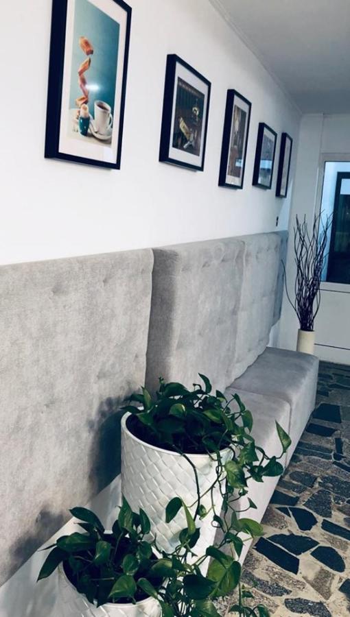 SIECHNICE Noclegi Esterno foto